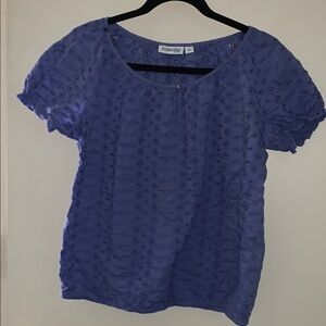 Gently Loved Women's Blue Eyelet Embroidered Top by St Johns Bay